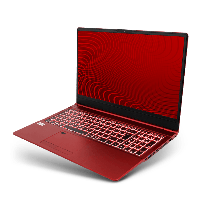 Ordinateur portable CLEVO N150ZU avec graveur de DVD blu-ray - SANTIANNE